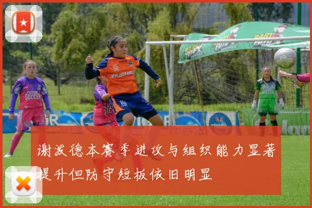 谢泼德本赛季进攻与组织能力显著提升但防守短板依旧明显